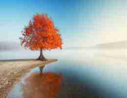 网‌站﻿加‌速​工‍具‌